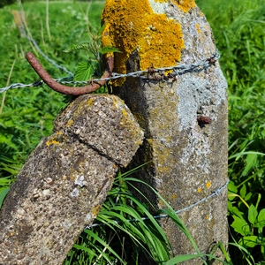 Deux piliers en béton armé, crochet et fil de fer barbelé  - Belgique  - collection de photos clin d'oeil, catégorie clindoeil